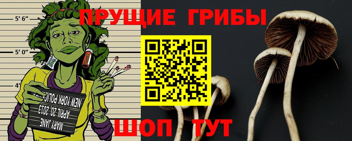 Галлюциногенные грибы прущие грибы Полысаево