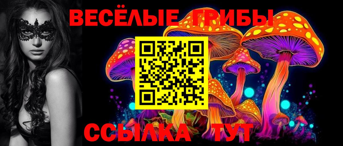 Галлюциногенные грибы Psilocybine cubensis  Псилоцибиновые грибы Psilocybe  Вход с VPN  Полысаево 